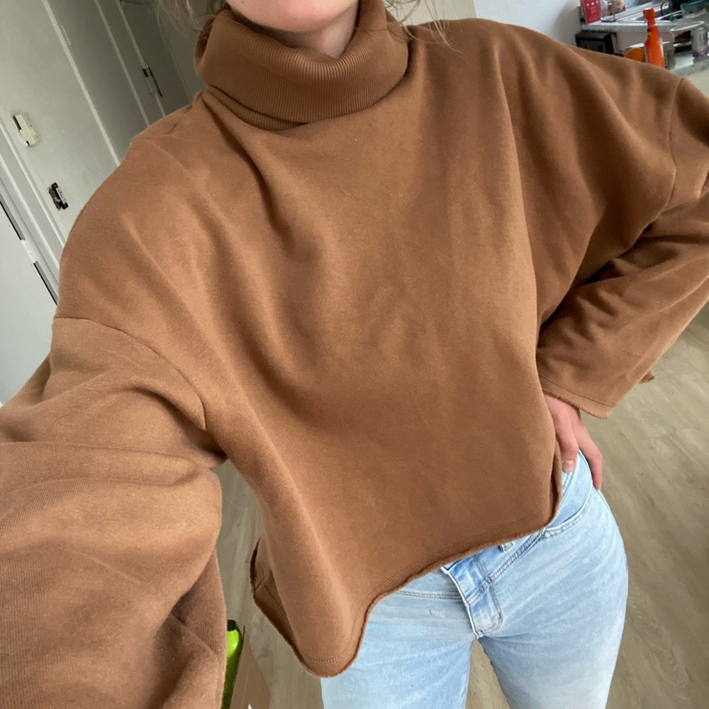 American Eagle turtleneck crop sweatshirt